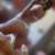 Etiler Eve Otele Gelen Ucuz Escort Bayan Semra - Image 1